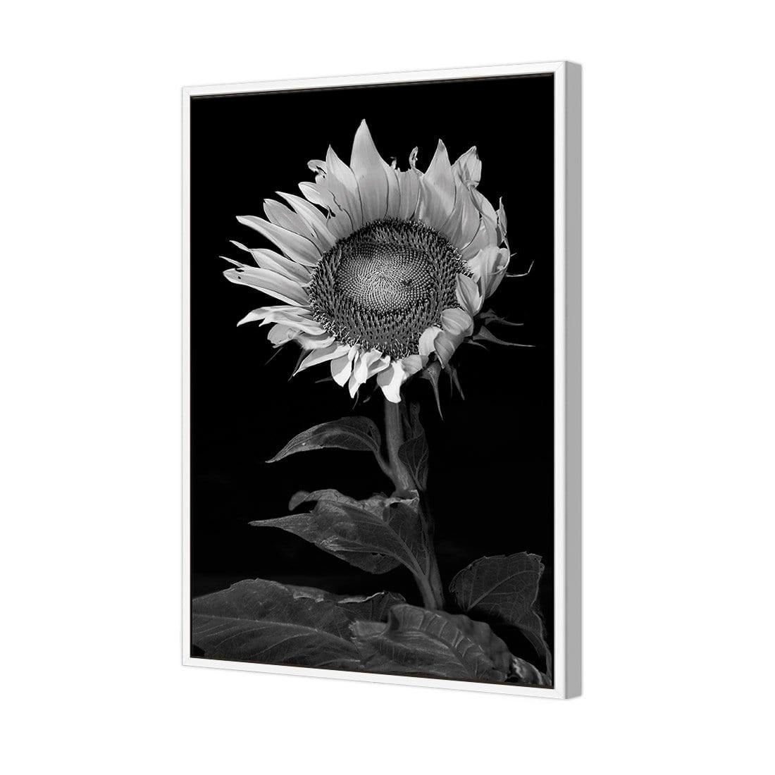 Stunning Sunflower - Wall Art Designs - 3077_AR_V WAD_CP - MPY - 260 - M - S - S_45x30_NONE