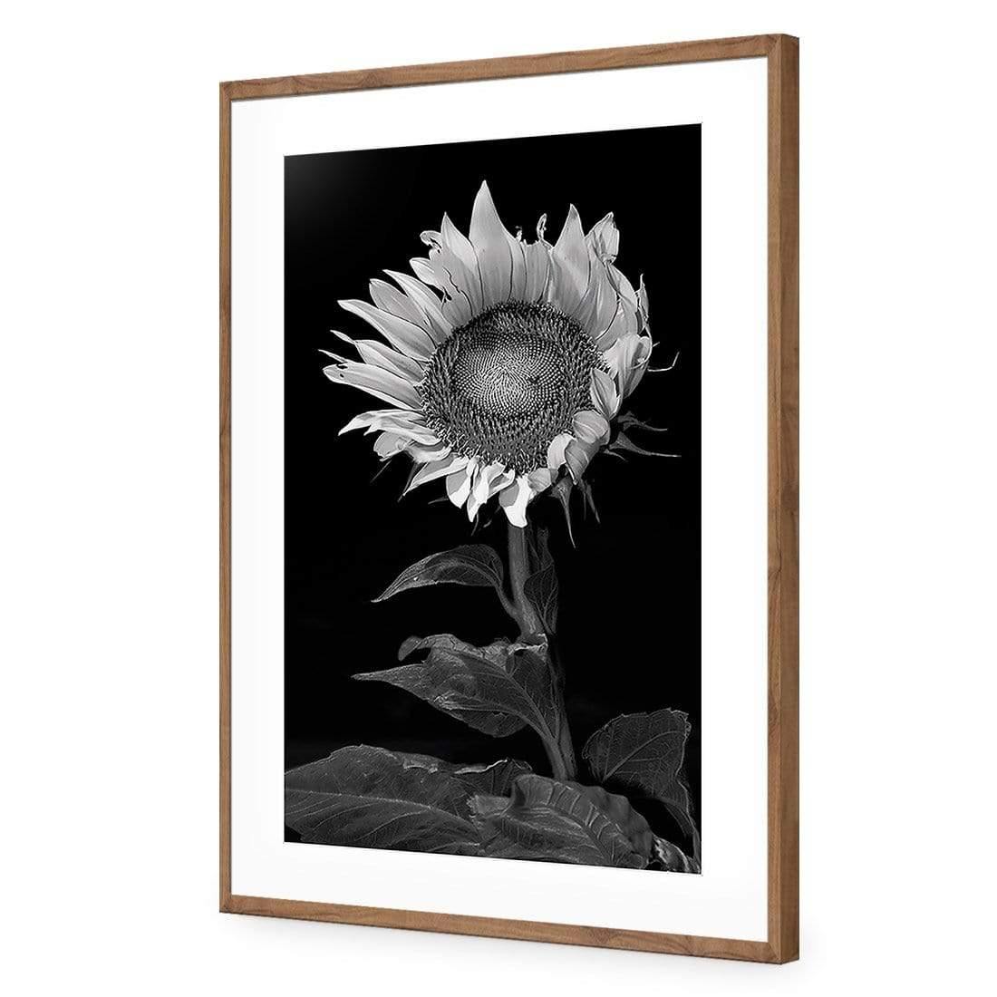 Stunning Sunflower - Wall Art Designs - 3077_AR_V WAD_CP - MPY - 260 - M - S - S_45x30_NONE