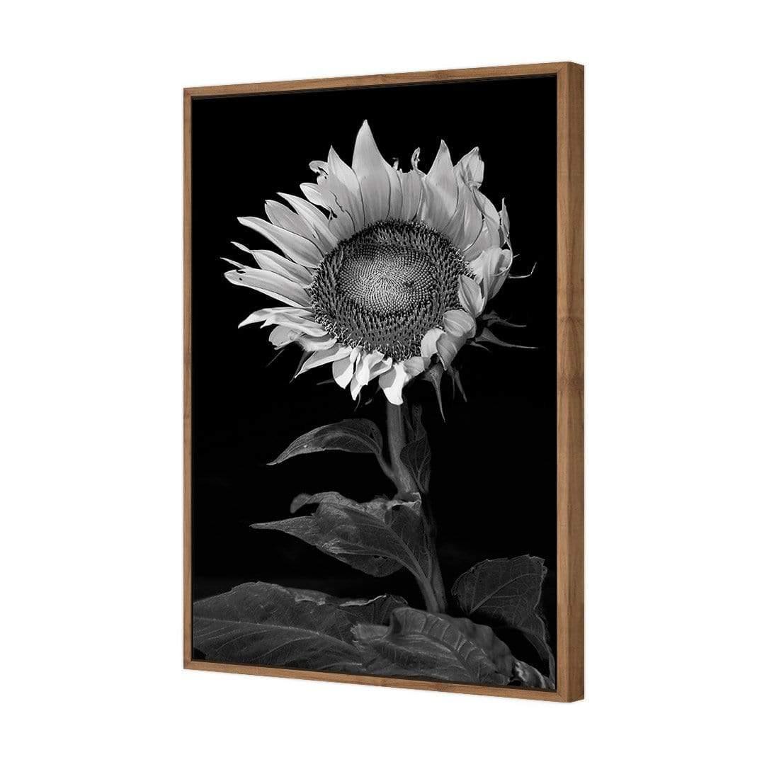 Stunning Sunflower - Wall Art Designs - 3077_AR_V WAD_CP - MPY - 260 - M - S - S_45x30_NONE