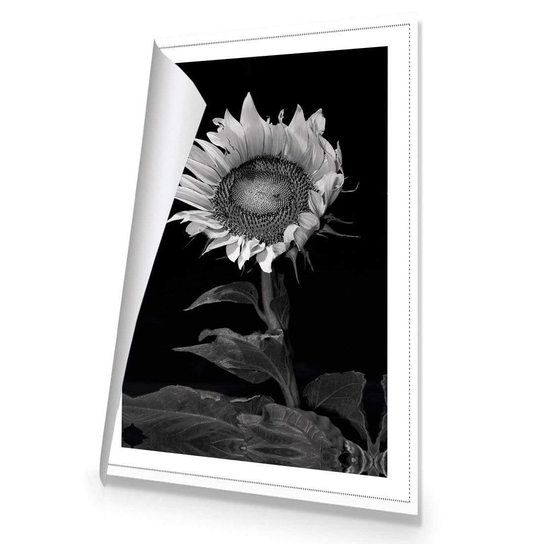 Stunning Sunflower - Wall Art Designs - 3077_AR_V WAD_CP - MPY - 260 - M - S - S_45x30_NONE