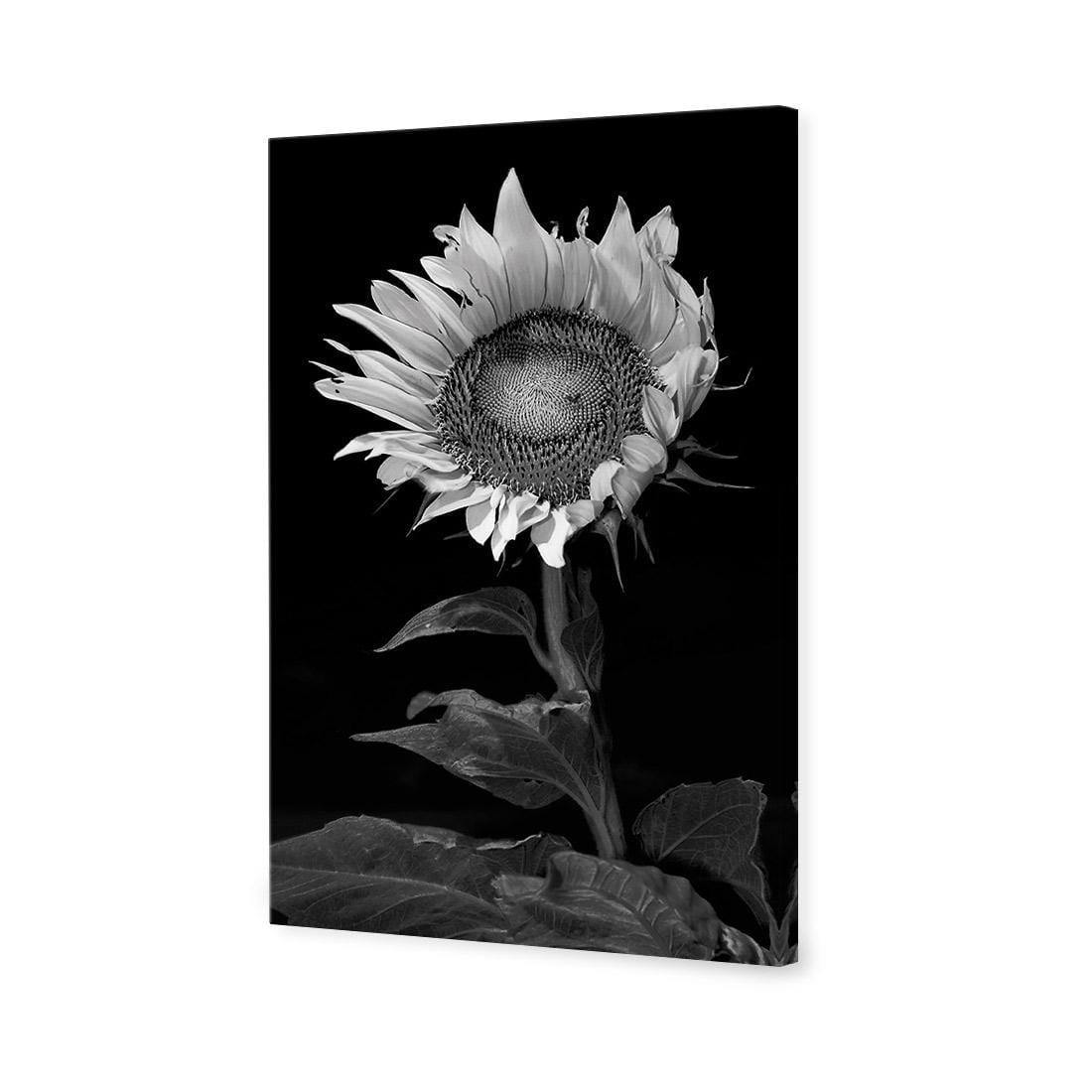 Stunning Sunflower - Wall Art Designs - 3077_AR_V WAD_CP - MPY - 260 - M - S - S_45x30_NONE