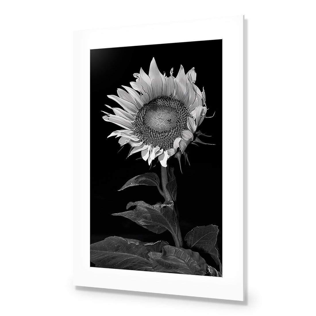 Stunning Sunflower - Wall Art Designs - 3077_AR_V WAD_CP - MPY - 260 - M - S - S_45x30_NONE