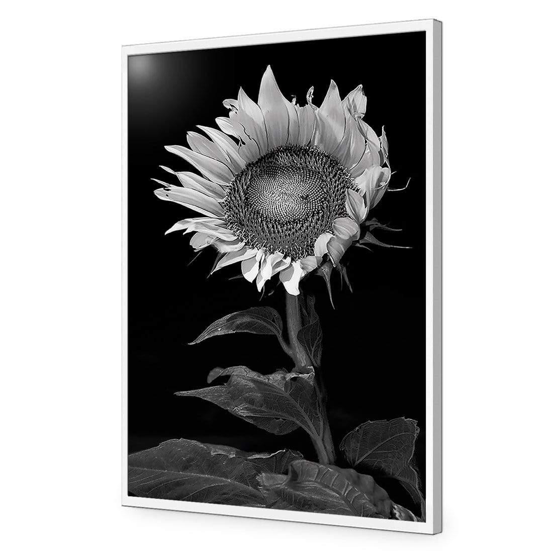 Stunning Sunflower - Wall Art Designs - 3077_AR_V WAD_CP - MPY - 260 - M - S - S_45x30_NONE