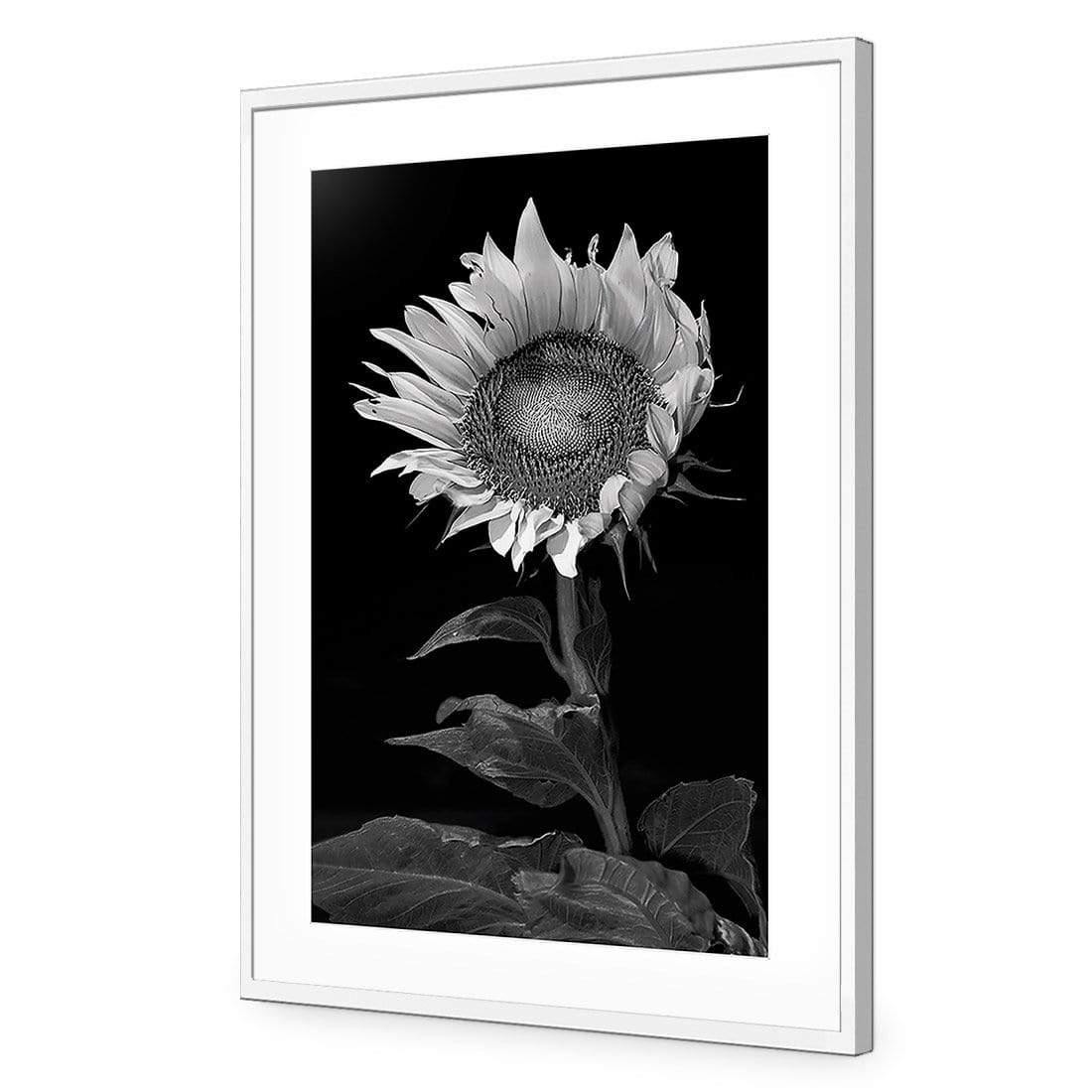 Stunning Sunflower - Wall Art Designs - 3077_AR_V WAD_CP - MPY - 260 - M - S - S_45x30_NONE