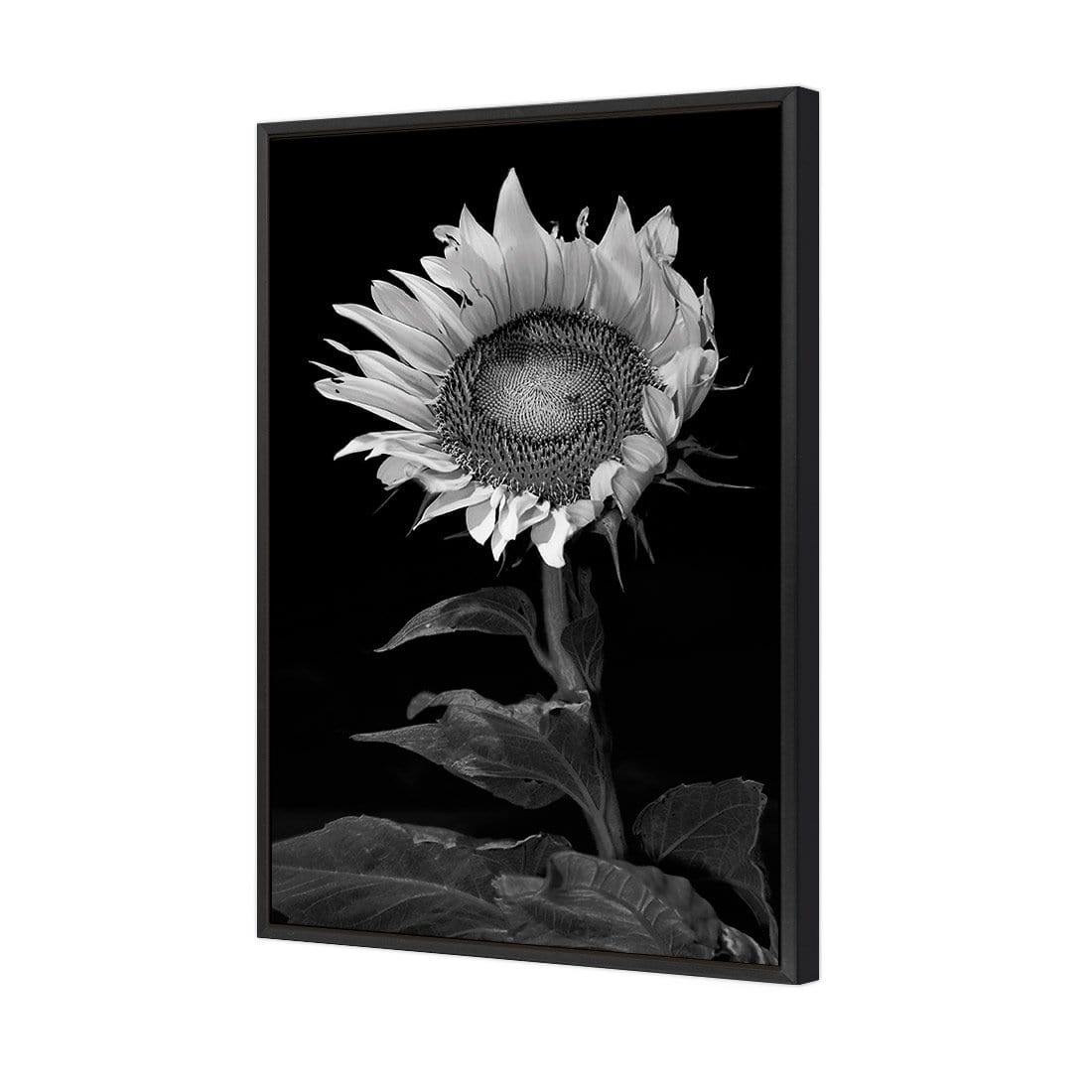 Stunning Sunflower - Wall Art Designs - 3077_AR_V WAD_CP - MPY - 260 - M - S - S_45x30_NONE