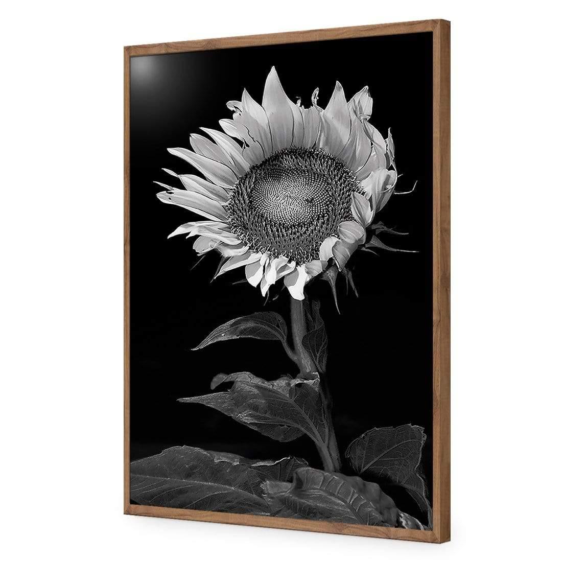 Stunning Sunflower - Wall Art Designs - 3077_AR_V WAD_CP - MPY - 260 - M - S - S_45x30_NONE