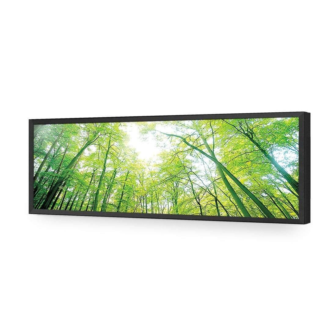 Sun Through Trees (Long) - Wall Art Designs - 898_AL_H WAD_AP - 030 - EDG_90x30_S - 2538 - BLK