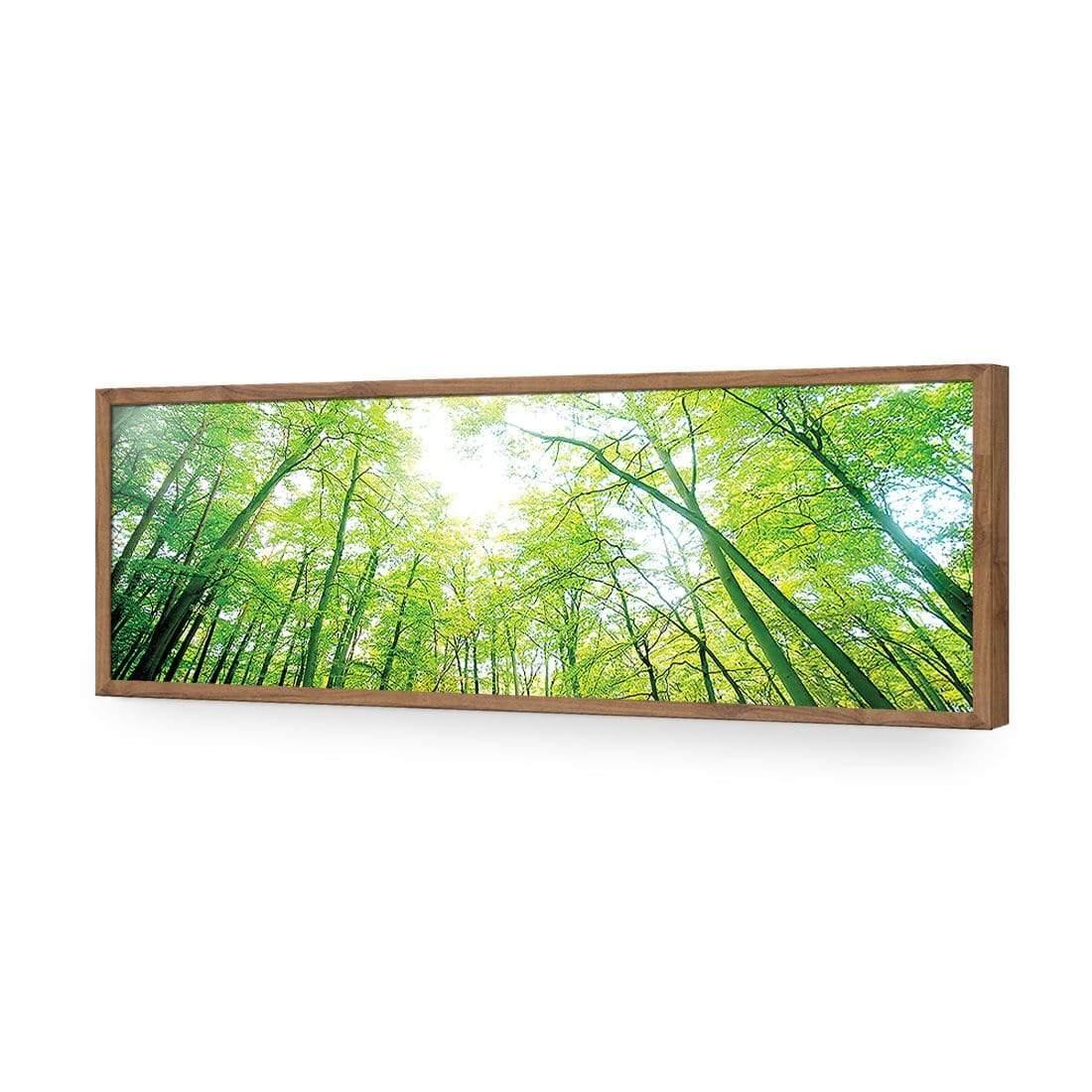 Sun Through Trees (Long) - Wall Art Designs - 898_AL_H WAD_AP - 030 - EDG_90x30_S - 2538 - NAT