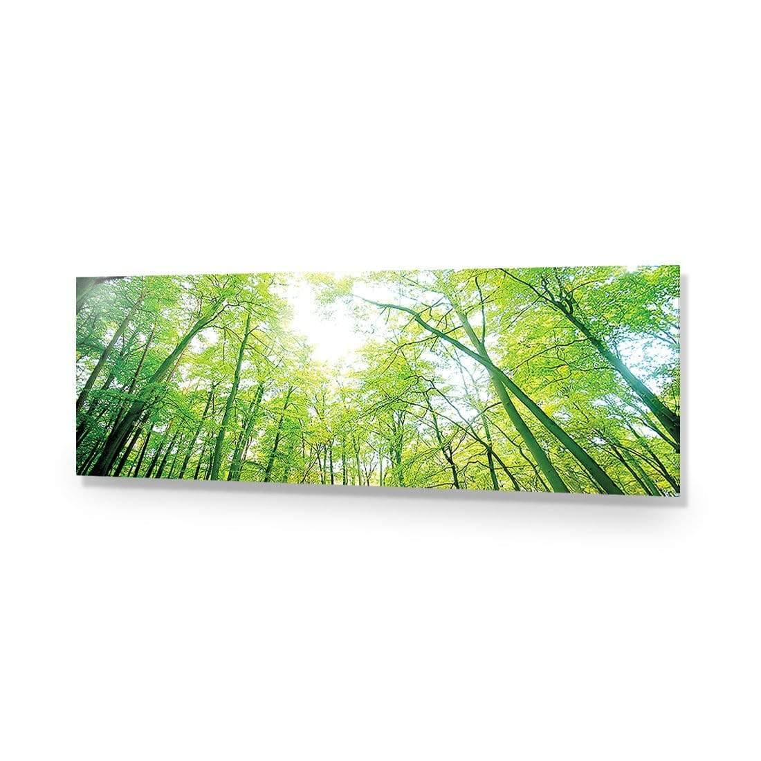 Sun Through Trees (Long) - Wall Art Designs - 898_AL_H WAD_AP - 030 - EDG_90x30_NONE