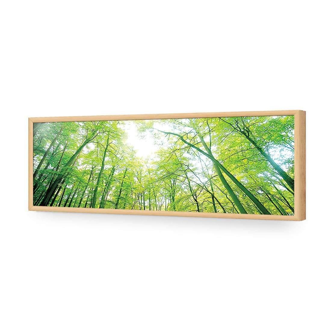 Sun Through Trees (Long) - Wall Art Designs - 898_AL_H WAD_AP - 030 - EDG_90x30_S - 2538 - OAK