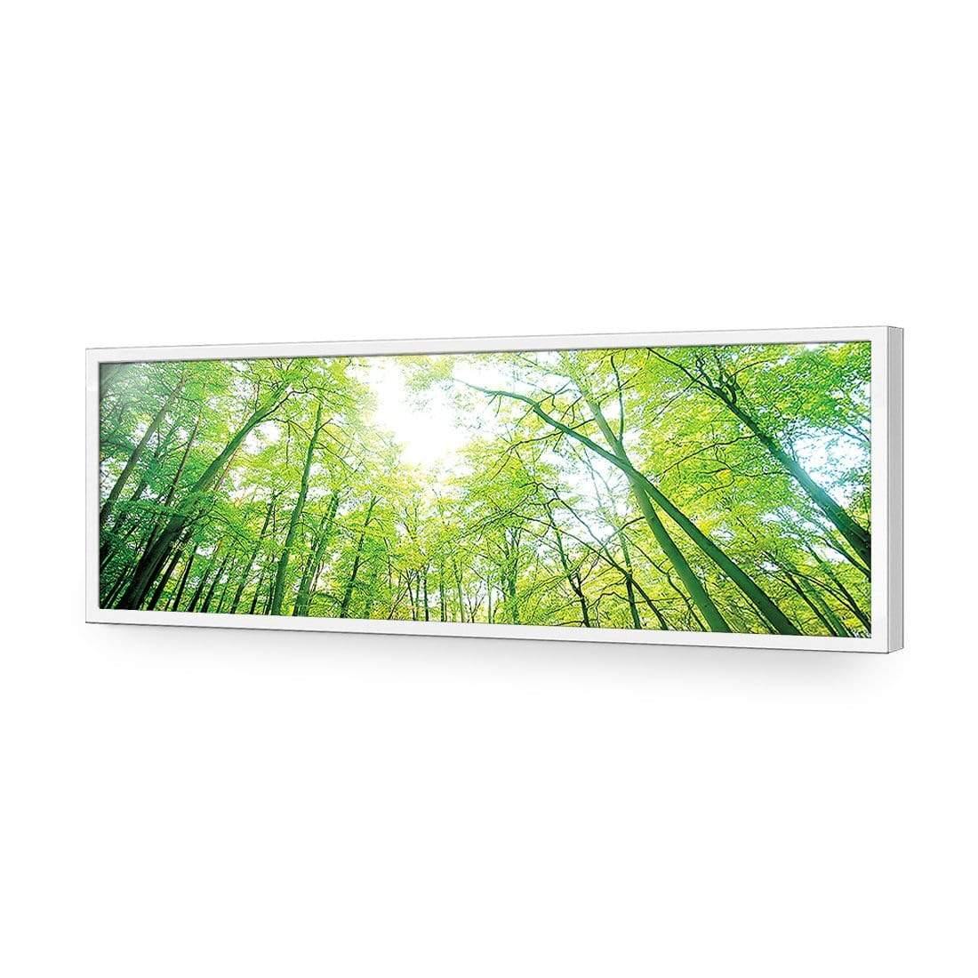 Sun Through Trees (Long) - Wall Art Designs - 898_AL_H WAD_AP - 030 - EDG_90x30_S - 2538 - WHT