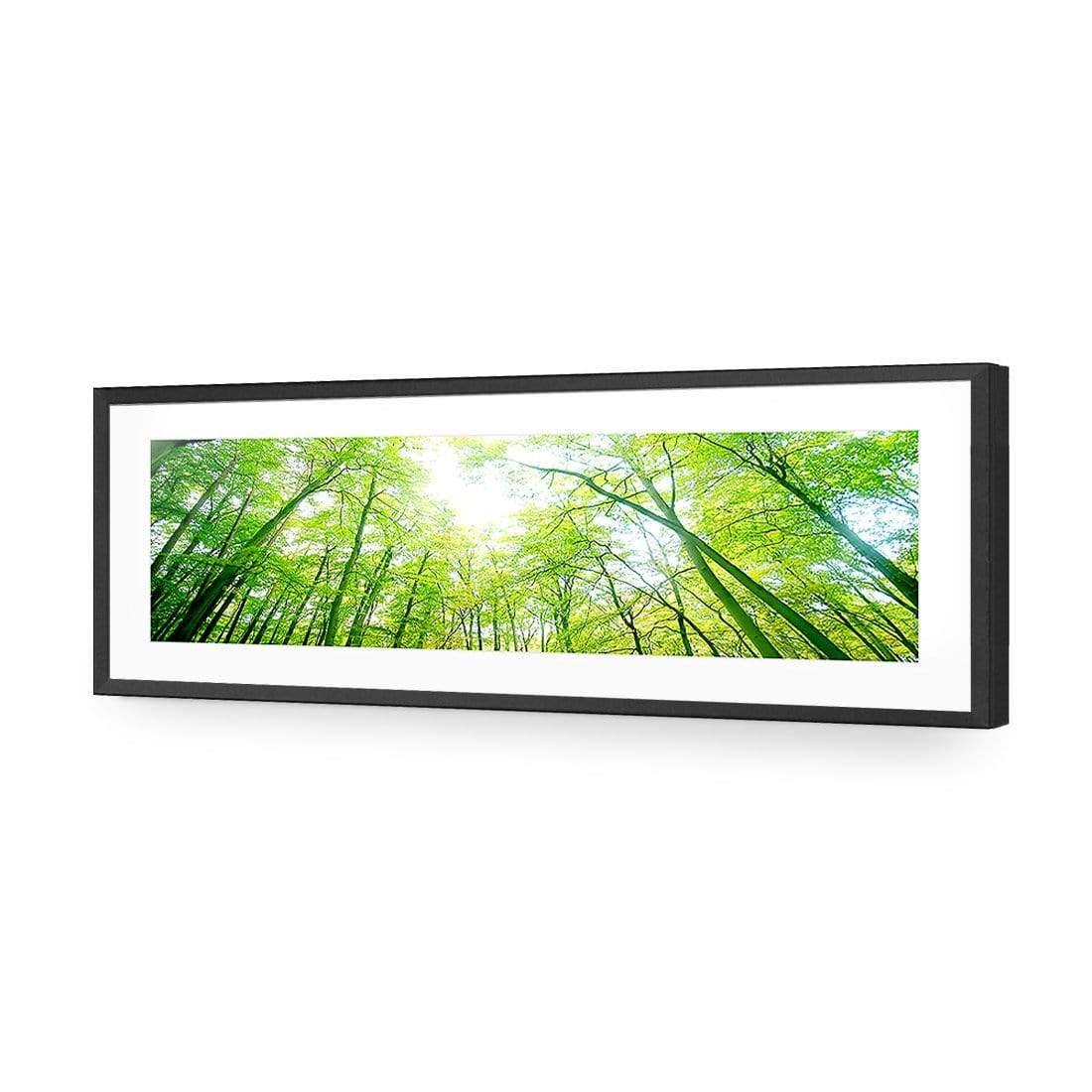 Sun Through Trees (Long) - Wall Art Designs - 898_AL_H WAD_AP - 030 - MAT_90x30_S - 2538 - BLK