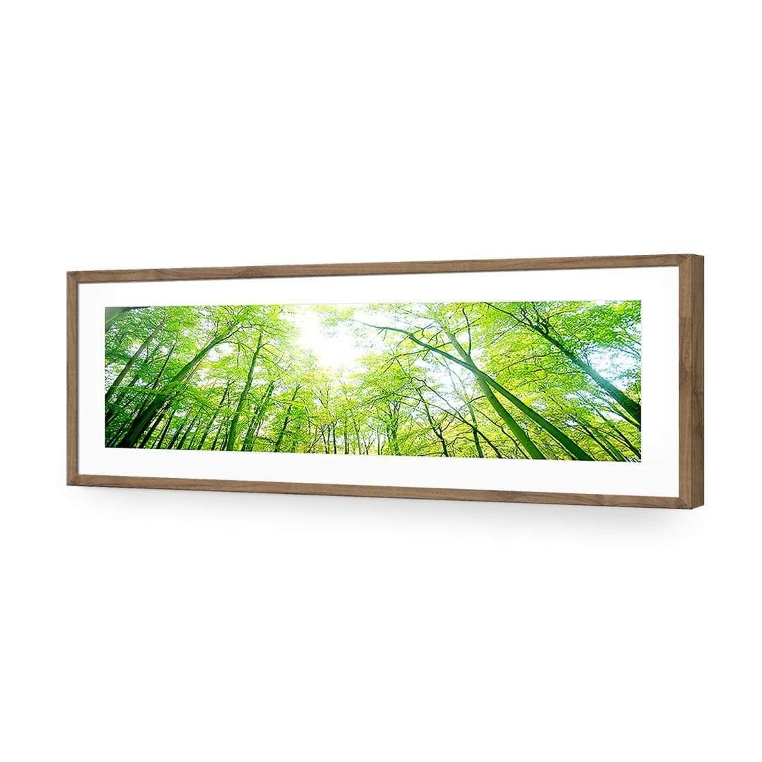 Sun Through Trees (Long) - Wall Art Designs - 898_AL_H WAD_AP - 030 - MAT_90x30_S - 2538 - NAT