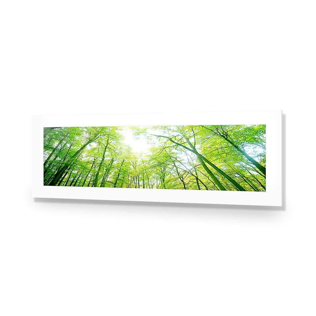 Sun Through Trees (Long) - Wall Art Designs - 898_AL_H WAD_AP - 030 - MAT_90x30_NONE