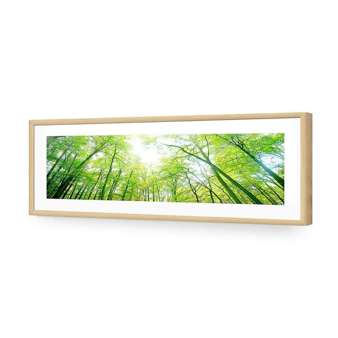 Sun Through Trees (Long) - Wall Art Designs - 898_AL_H WAD_AP - 030 - MAT_90x30_S - 2538 - OAK