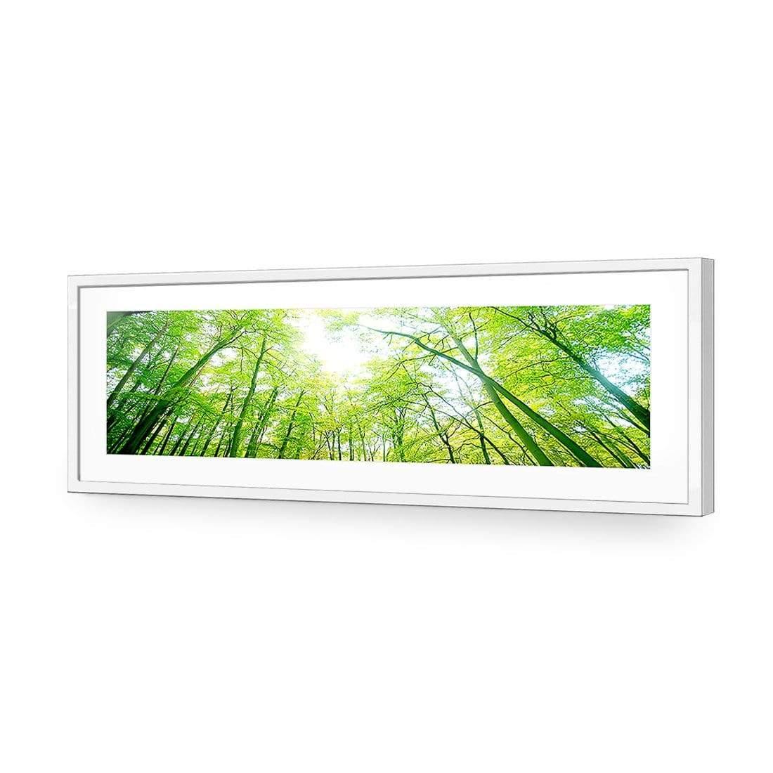 Sun Through Trees (Long) - Wall Art Designs - 898_AL_H WAD_AP - 030 - MAT_90x30_S - 2538 - WHT