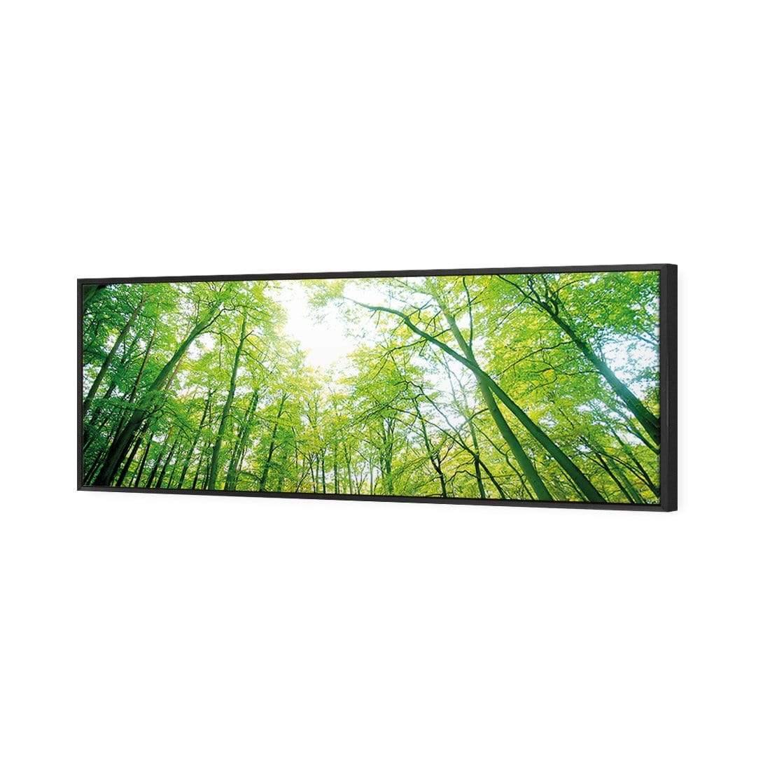 Sun Through Trees (Long) - Wall Art Designs - 898_AL_H WAD_CP - MPY - 260 - M - S - S_60x20_S - 1550 - BLK