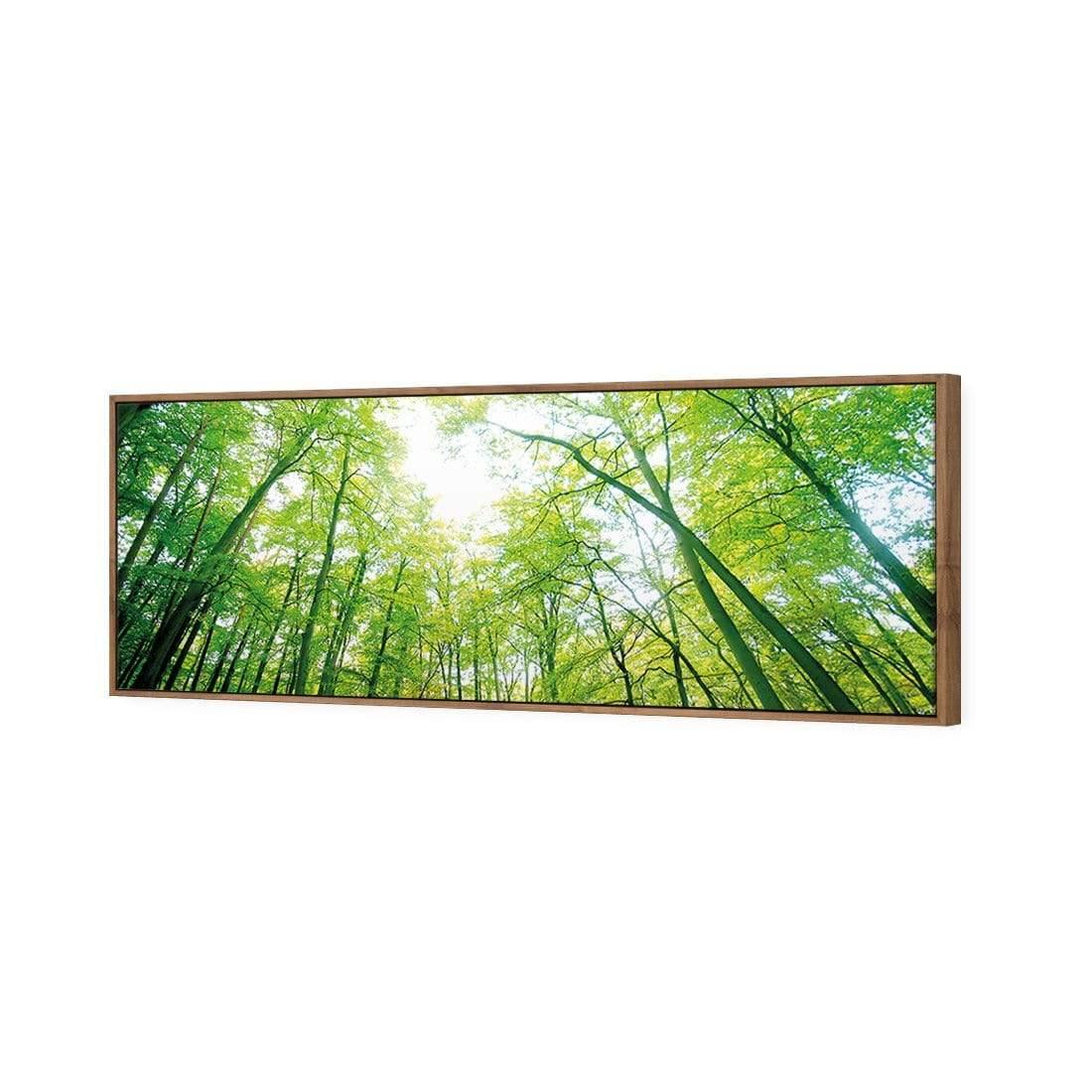 Sun Through Trees (Long) - Wall Art Designs - 898_AL_H WAD_CP - MPY - 260 - M - S - S_60x20_S - 1550 - NAT