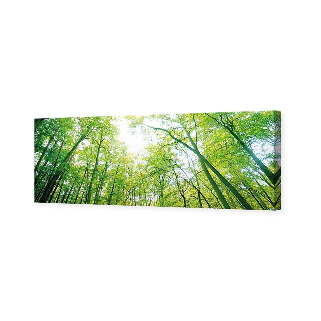 Sun Through Trees (Long) - Wall Art Designs - 898_AL_H WAD_CP - MPY - 260 - M - S - S_60x20_NONE