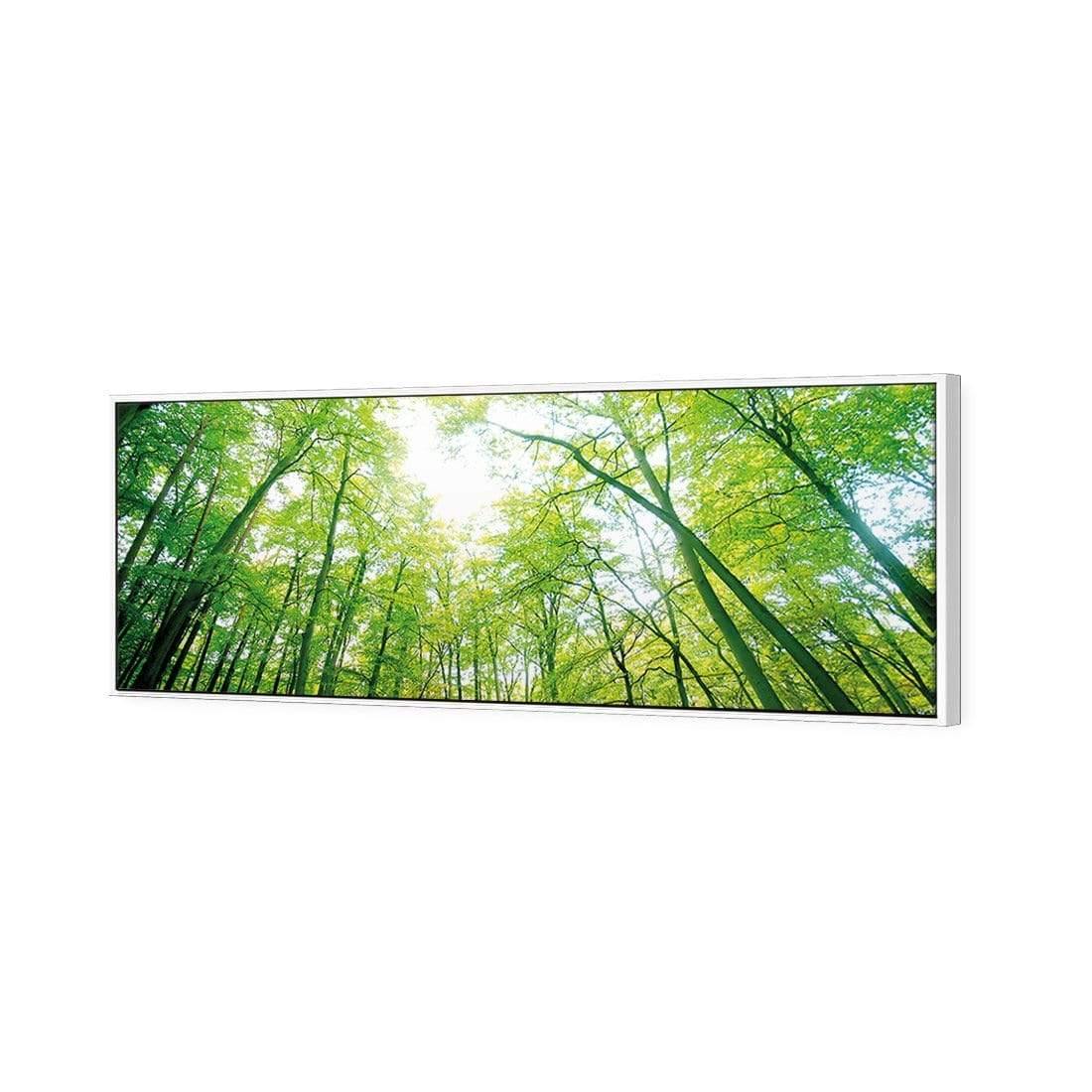 Sun Through Trees (Long) - Wall Art Designs - 898_AL_H WAD_CP - MPY - 260 - M - S - S_60x20_S - 1550 - WHT