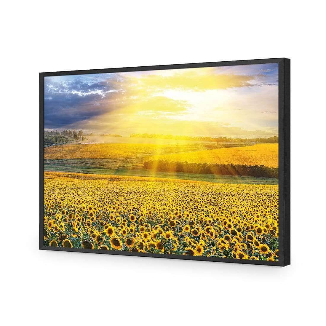 Sunflower Shine - Wall Art Designs - 3741_AR_H WAD_AP - 030 - EDG_45x30_S - 2538 - BLK