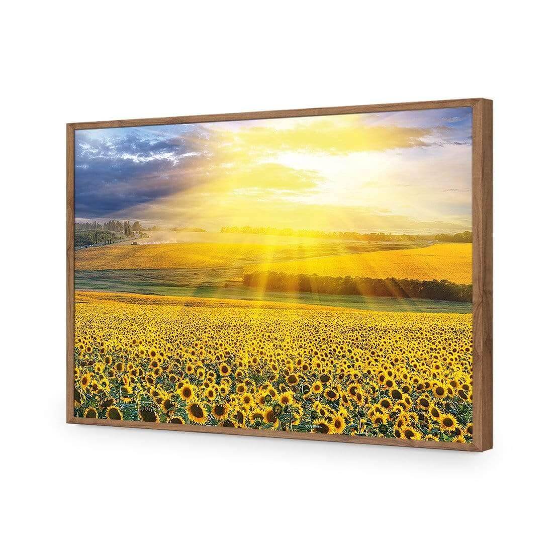 Sunflower Shine - Wall Art Designs - 3741_AR_H WAD_AP - 030 - EDG_45x30_S - 2538 - NAT