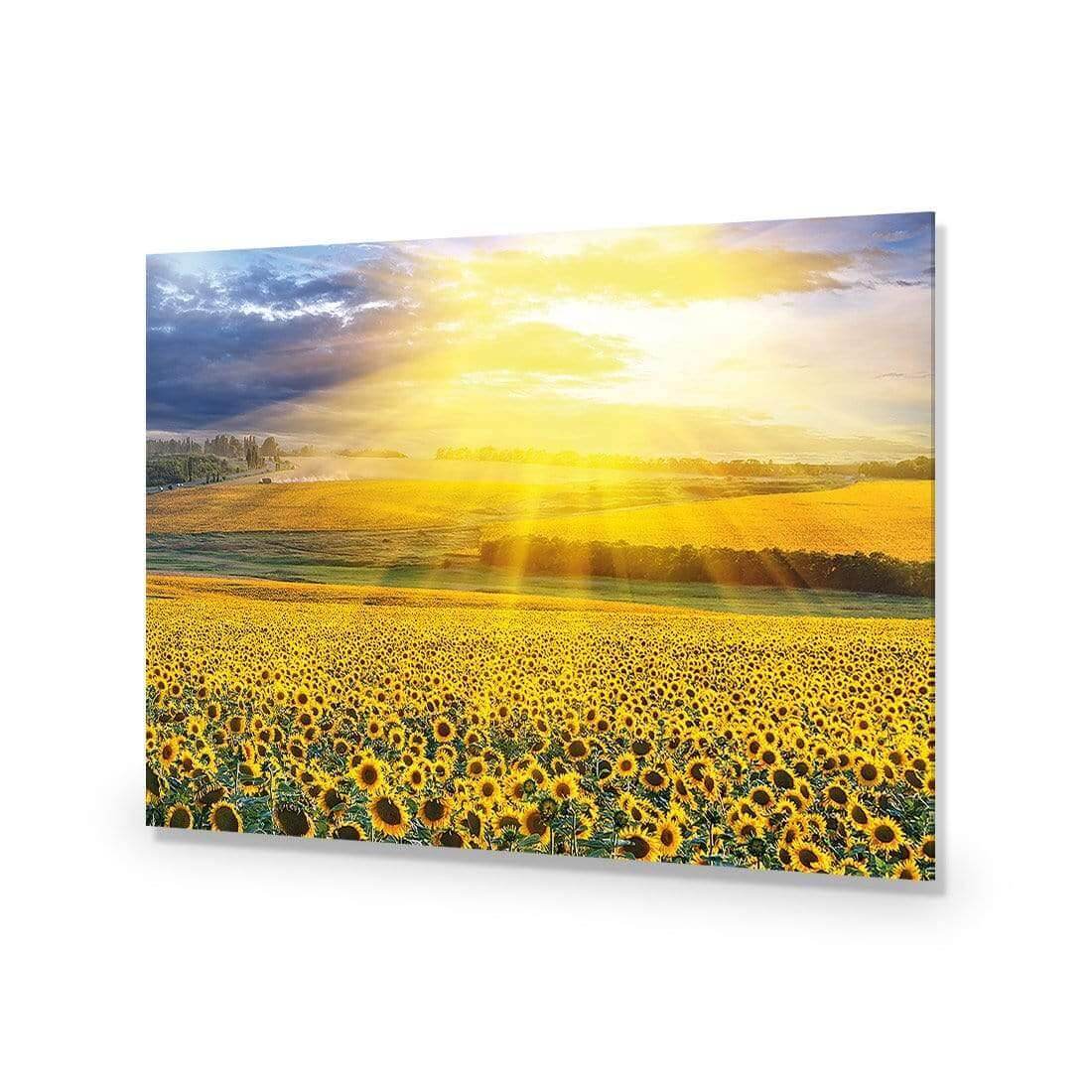 Sunflower Shine - Wall Art Designs - 3741_AR_H WAD_AP - 030 - EDG_45x30_NONE