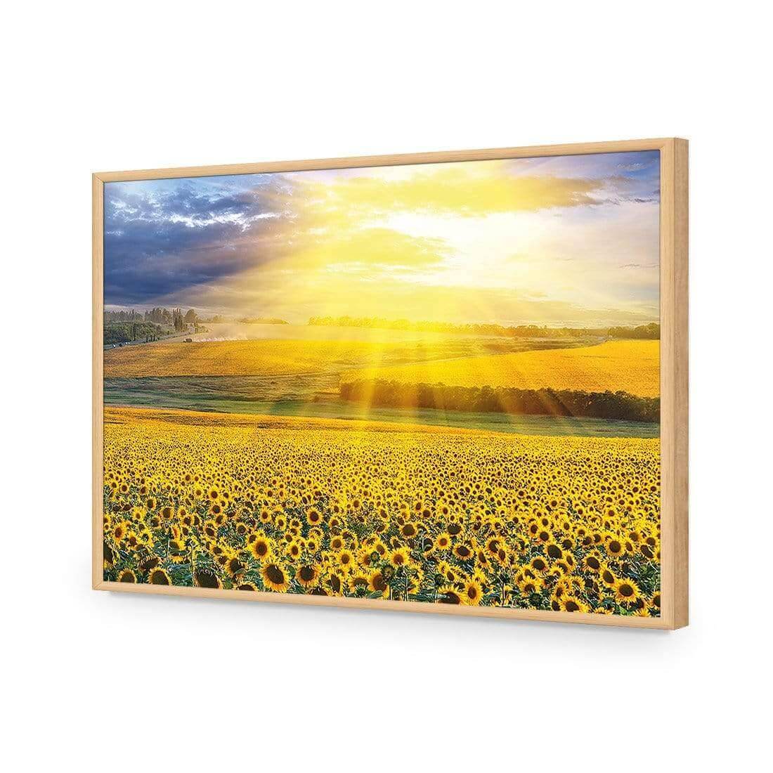 Sunflower Shine - Wall Art Designs - 3741_AR_H WAD_AP - 030 - EDG_45x30_S - 2538 - OAK