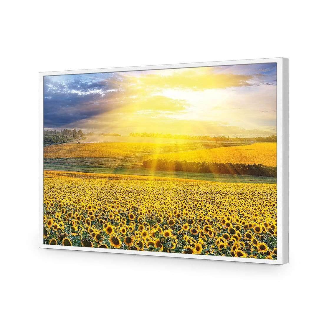 Sunflower Shine - Wall Art Designs - 3741_AR_H WAD_AP - 030 - EDG_45x30_S - 2538 - WHT