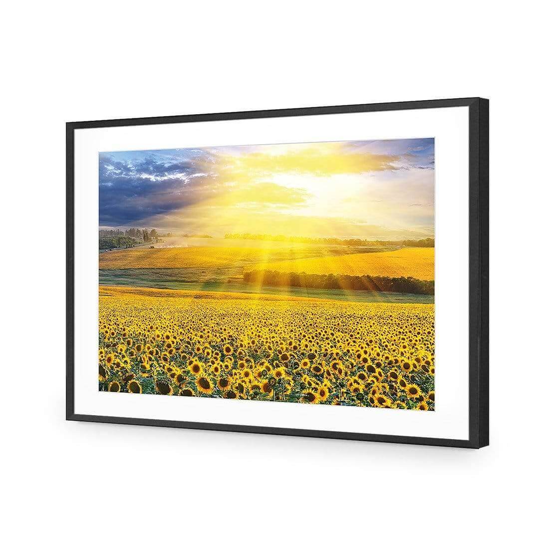 Sunflower Shine - Wall Art Designs - 3741_AR_H WAD_AP - 030 - MAT_45x30_S - 2538 - BLK