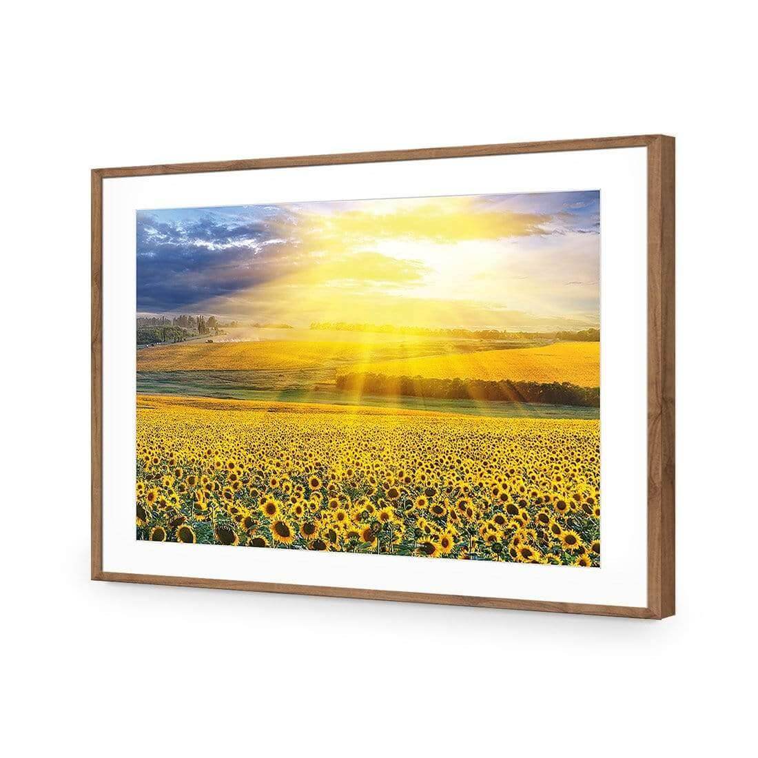 Sunflower Shine - Wall Art Designs - 3741_AR_H WAD_AP - 030 - MAT_45x30_S - 2538 - NAT