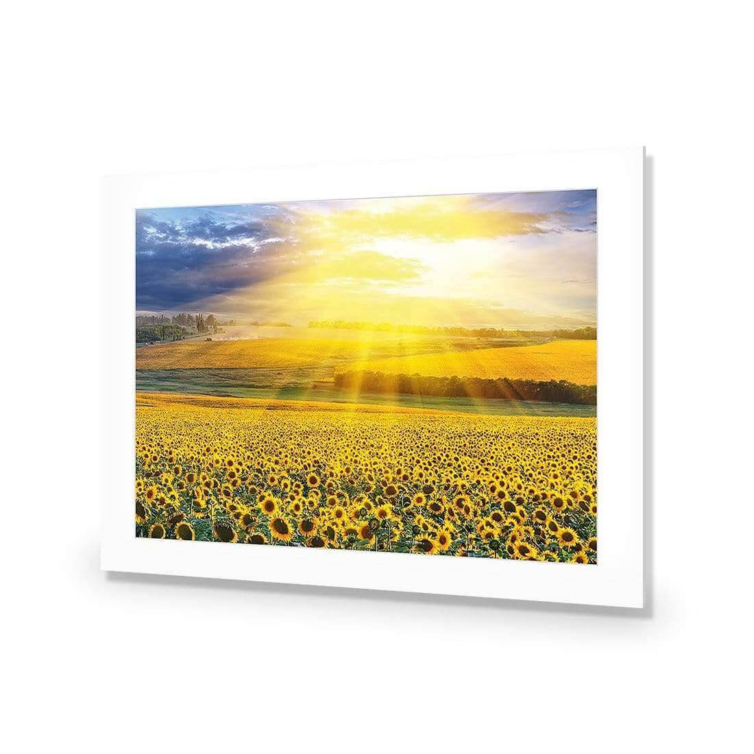 Sunflower Shine - Wall Art Designs - 3741_AR_H WAD_AP - 030 - MAT_45x30_NONE