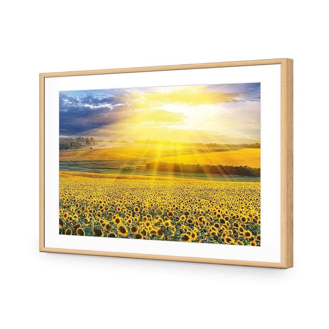 Sunflower Shine - Wall Art Designs - 3741_AR_H WAD_AP - 030 - MAT_45x30_S - 2538 - OAK