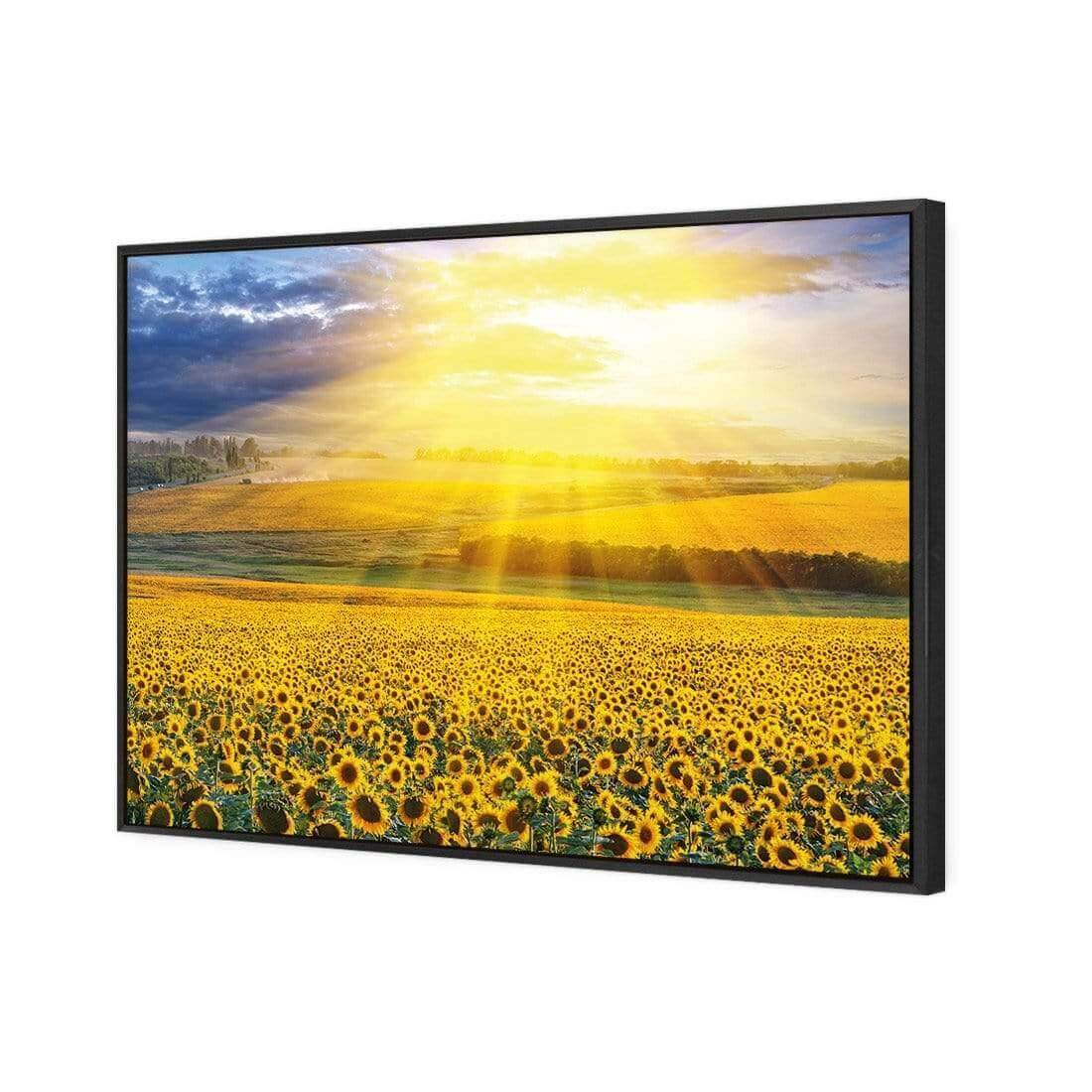 Sunflower Shine - Wall Art Designs - 3741_AR_H WAD_CP - MPY - 260 - M - S - S_45x30_S - 1550 - BLK