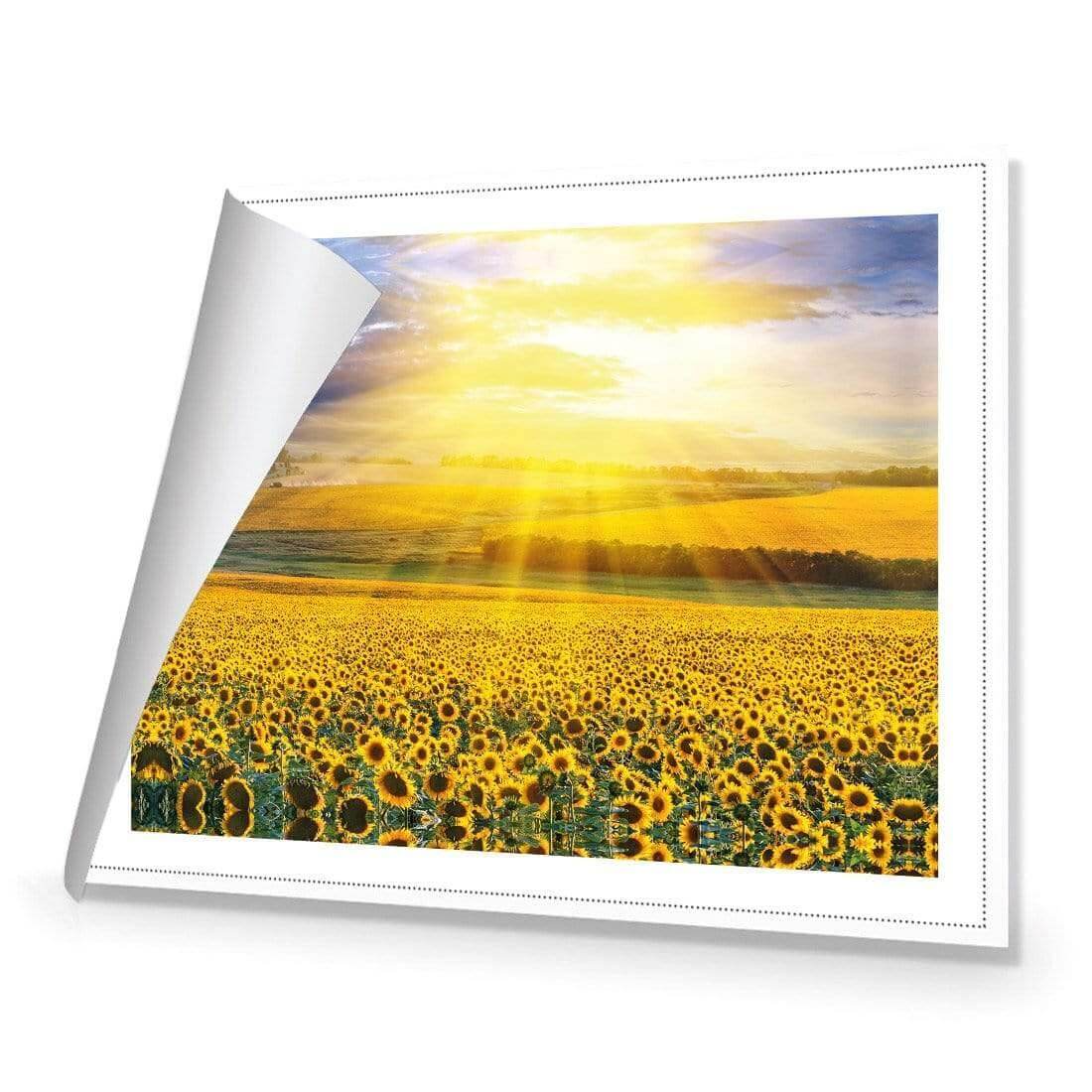 Sunflower Shine - Wall Art Designs - 3741_AR_H WAD_CP - MPY - 260 - M - R_45x30_NONE