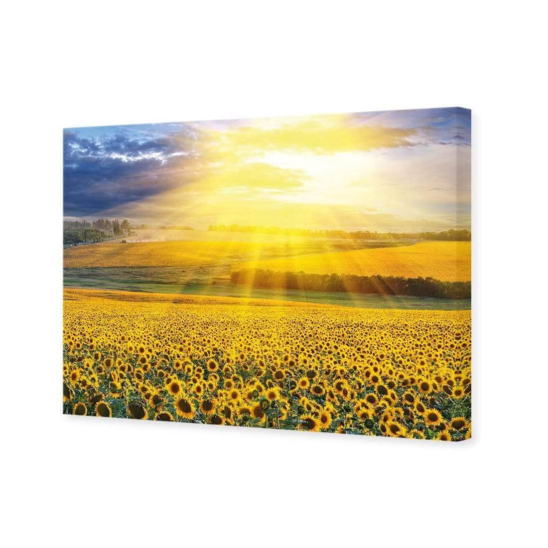 Sunflower Shine - Wall Art Designs - 3741_AR_H WAD_CP - MPY - 260 - M - S - S_45x30_NONE