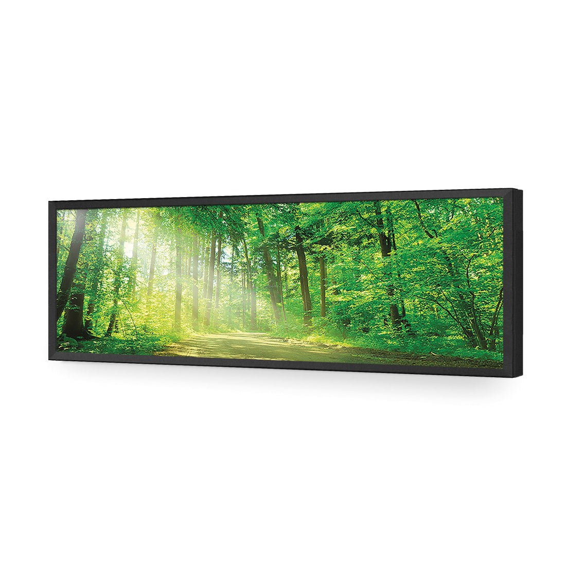 Sunlit Path (long) - Wall Art Designs - 2231_AL_H WAD_AP - 030 - EDG_90x30_S - 2538 - BLK