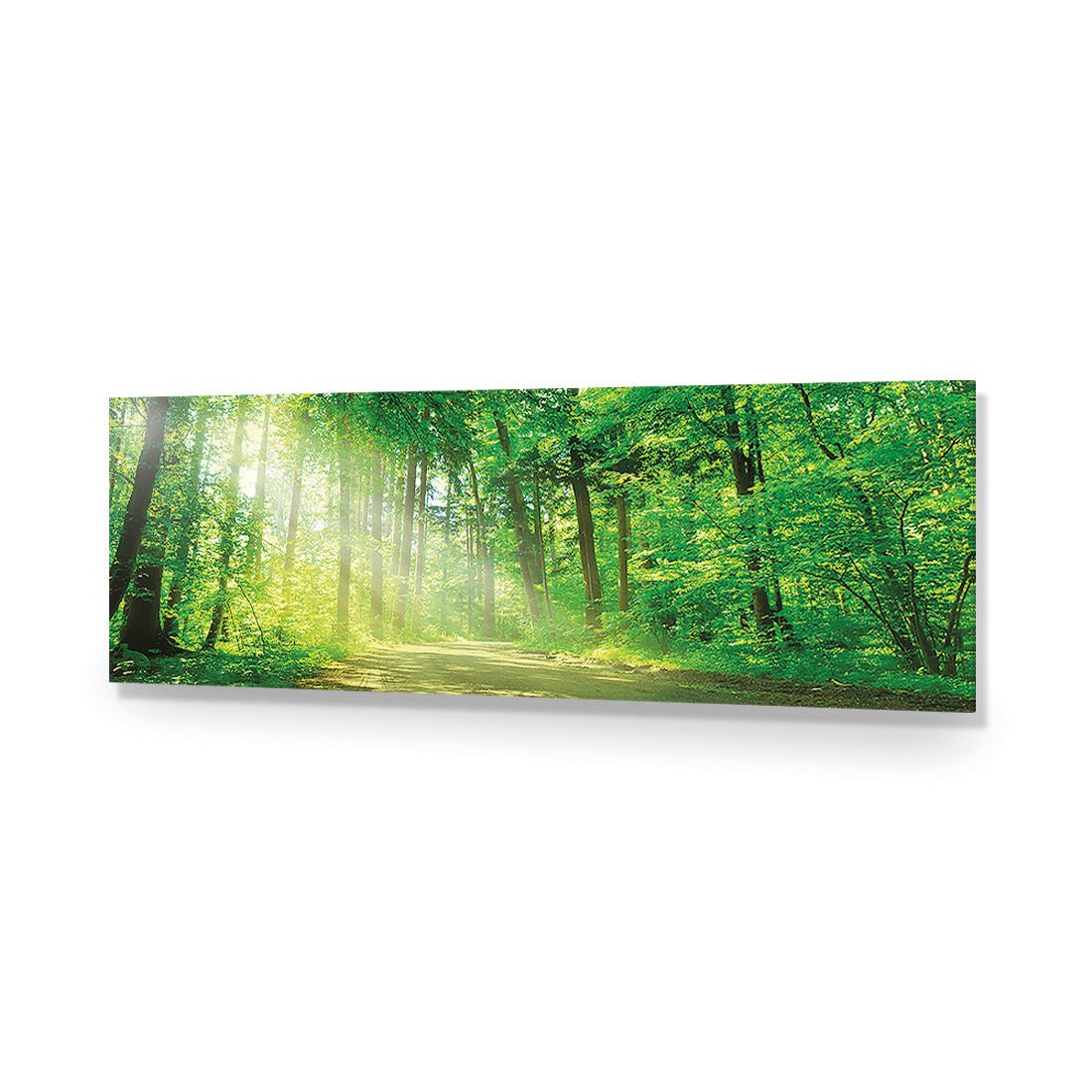 Sunlit Path (long) - Wall Art Designs - 2231_AL_H WAD_AP - 030 - EDG_90x30_NONE