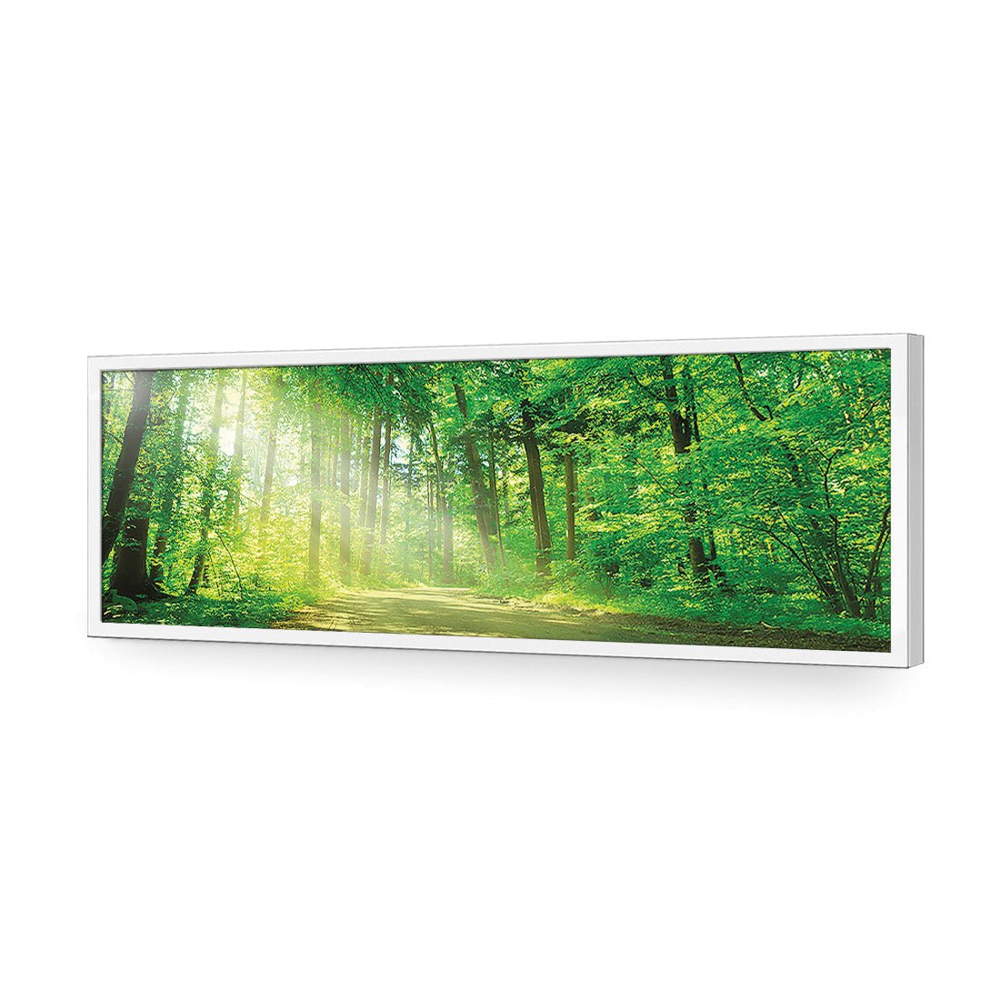 Sunlit Path (long) - Wall Art Designs - 2231_AL_H WAD_AP - 030 - EDG_90x30_S - 2538 - WHT