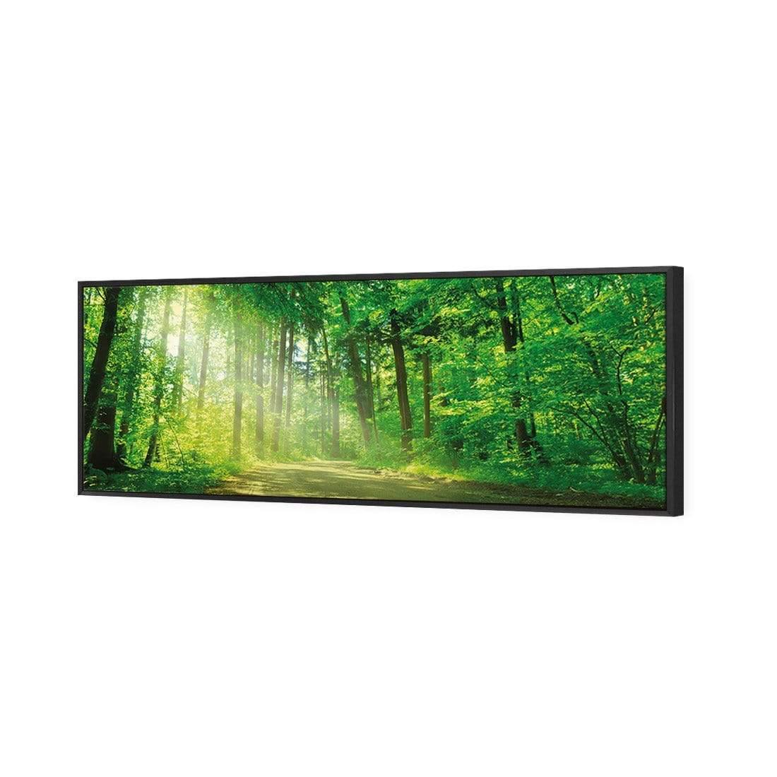 Sunlit Path (long) - Wall Art Designs - 2231_AL_H WAD_CP - MPY - 260 - M - S - S_60x20_S - 1550 - BLK