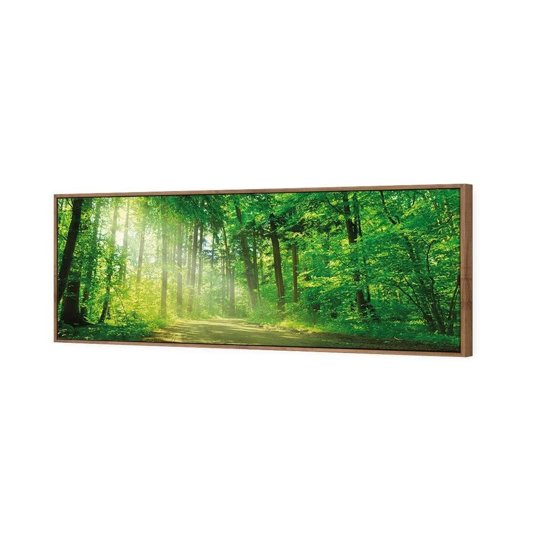 Sunlit Path (long) - Wall Art Designs - 2231_AL_H WAD_CP - MPY - 260 - M - S - S_60x20_S - 1550 - NAT