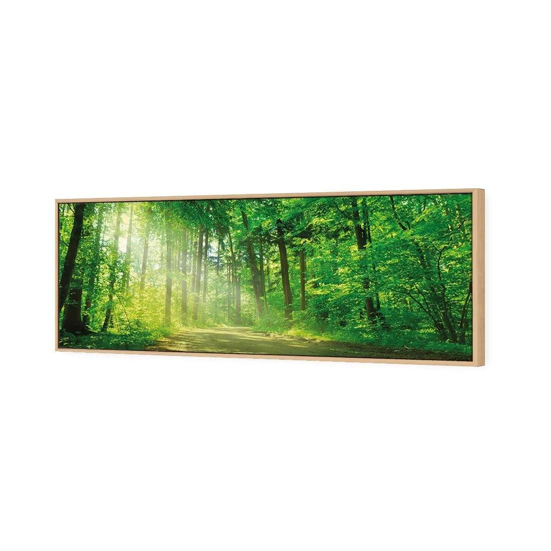 Sunlit Path (long) - Wall Art Designs - 2231_AL_H WAD_CP - MPY - 260 - M - S - S_60x20_S - 1550 - OAK