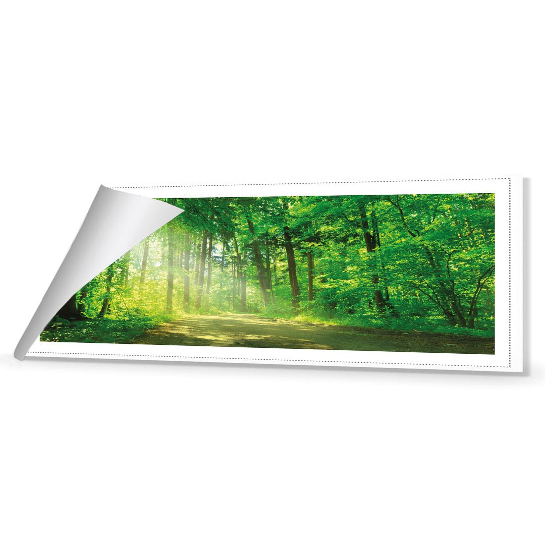 Sunlit Path (long) - Wall Art Designs - 2231_AL_H WAD_CP - MPY - 260 - M - R_60x20_NONE