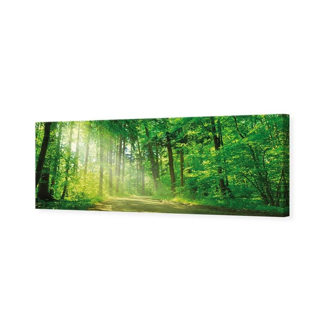 Sunlit Path (long) - Wall Art Designs - 2231_AL_H WAD_CP - MPY - 260 - M - S - S_60x20_NONE