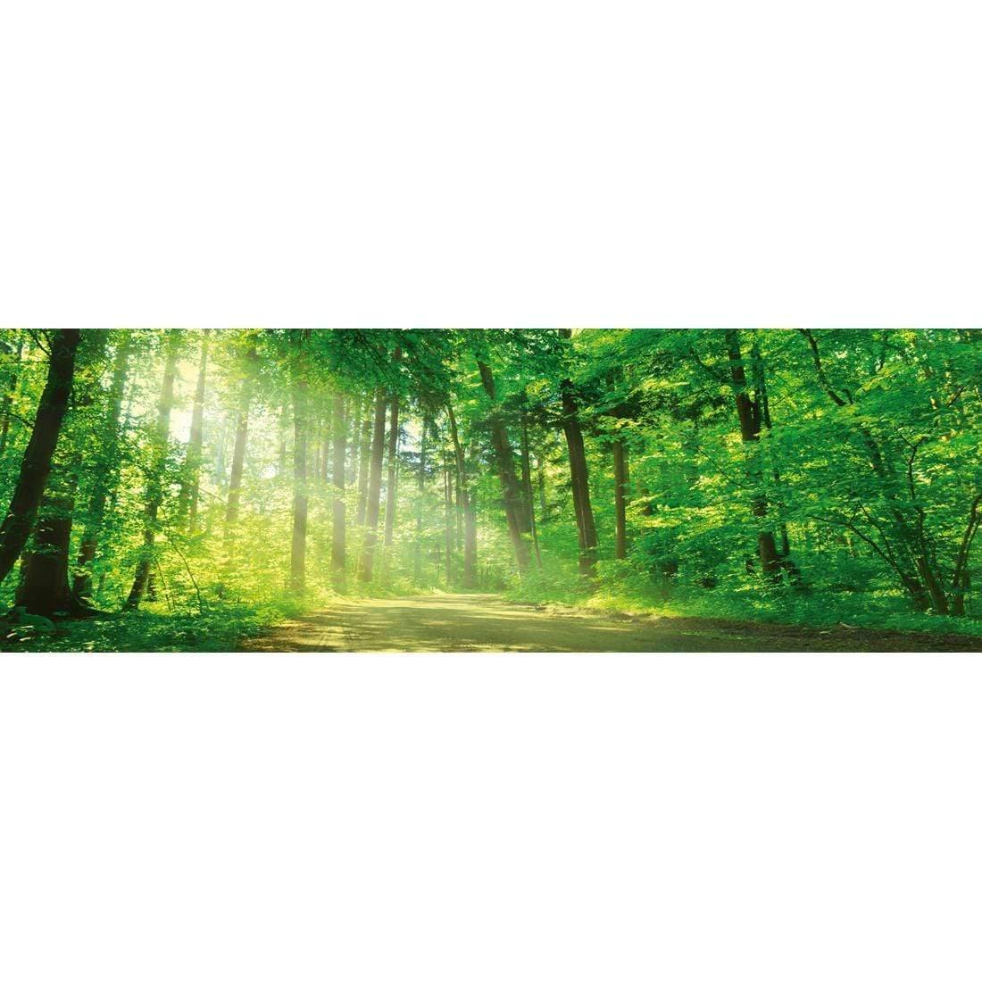 Sunlit Path (long) - Wall Art Designs - 2231_AL_H WAD_CP - MPY - 260 - M - S - S_60x20_NONE