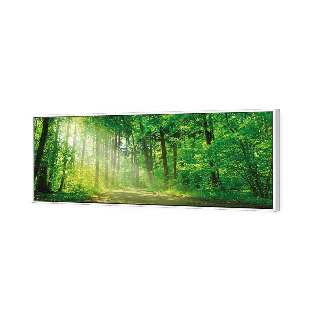 Sunlit Path (long) - Wall Art Designs - 2231_AL_H WAD_CP - MPY - 260 - M - S - S_60x20_S - 1550 - WHT