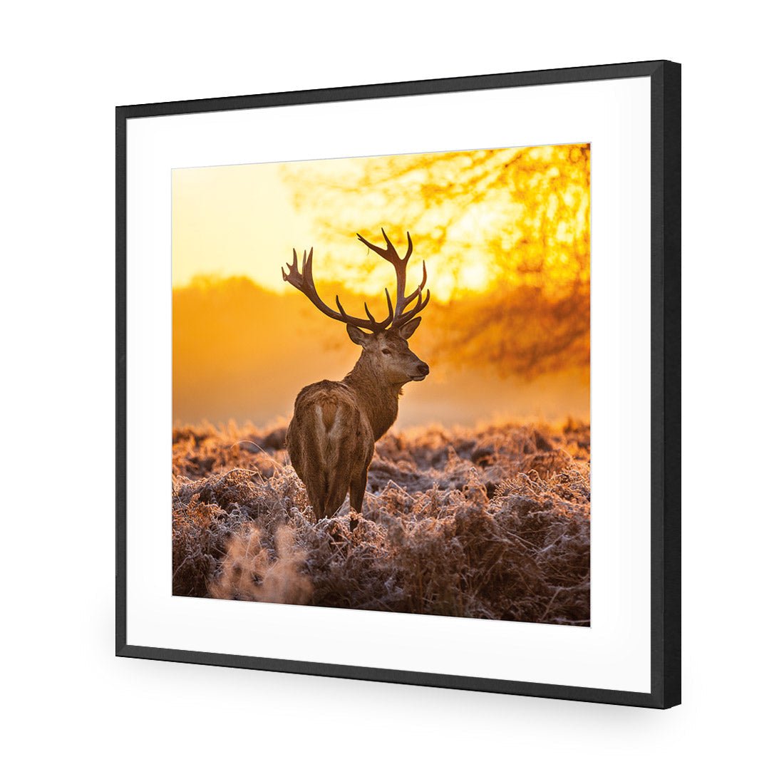 Sunset Deer Returns (square) - Wall Art Designs - 2224_AS_Q WAD_CP - MPY - 260 - M - S - S_37x37_NONE