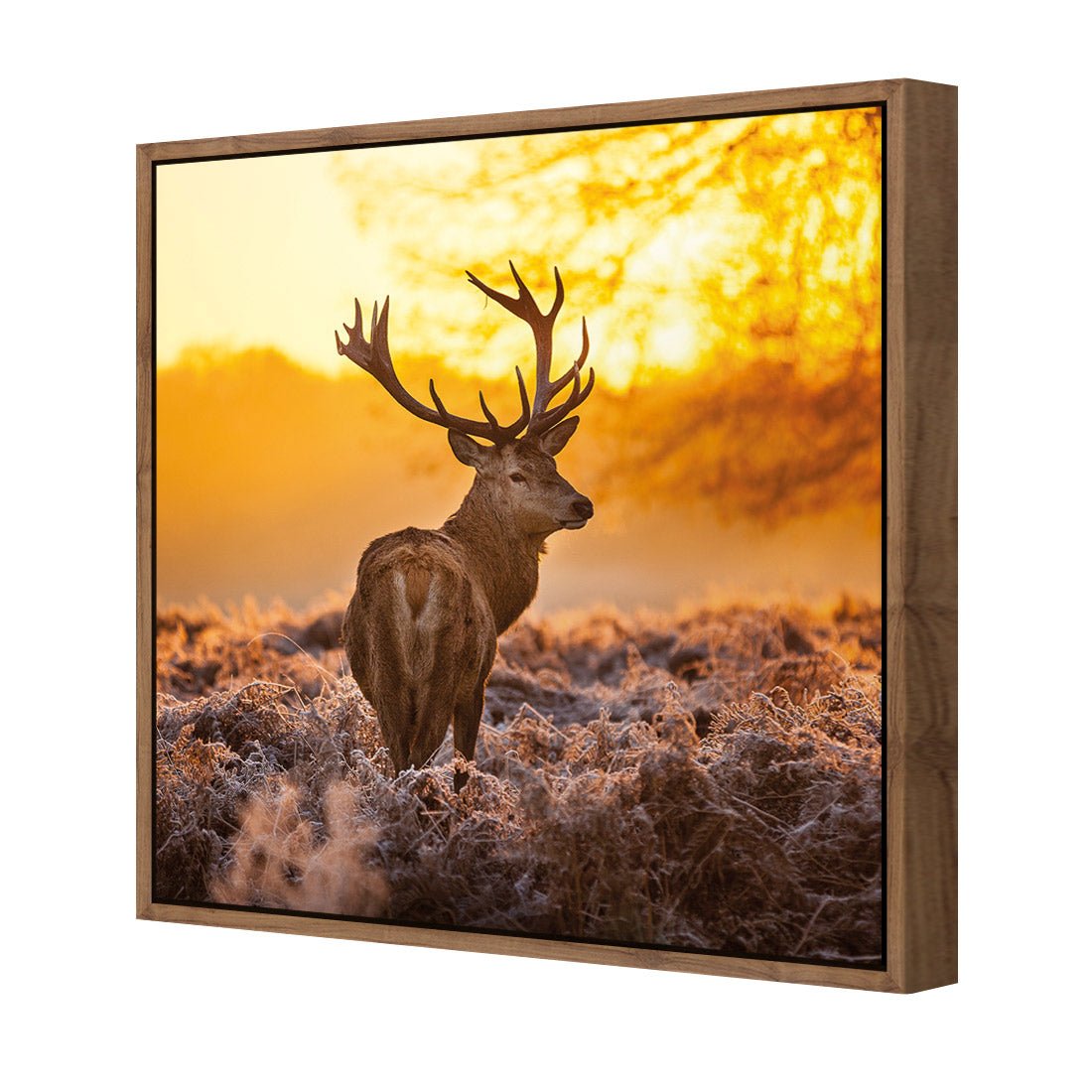 Sunset Deer Returns (square) - Wall Art Designs - 2224_AS_Q WAD_CP - MPY - 260 - M - S - S_37x37_NONE