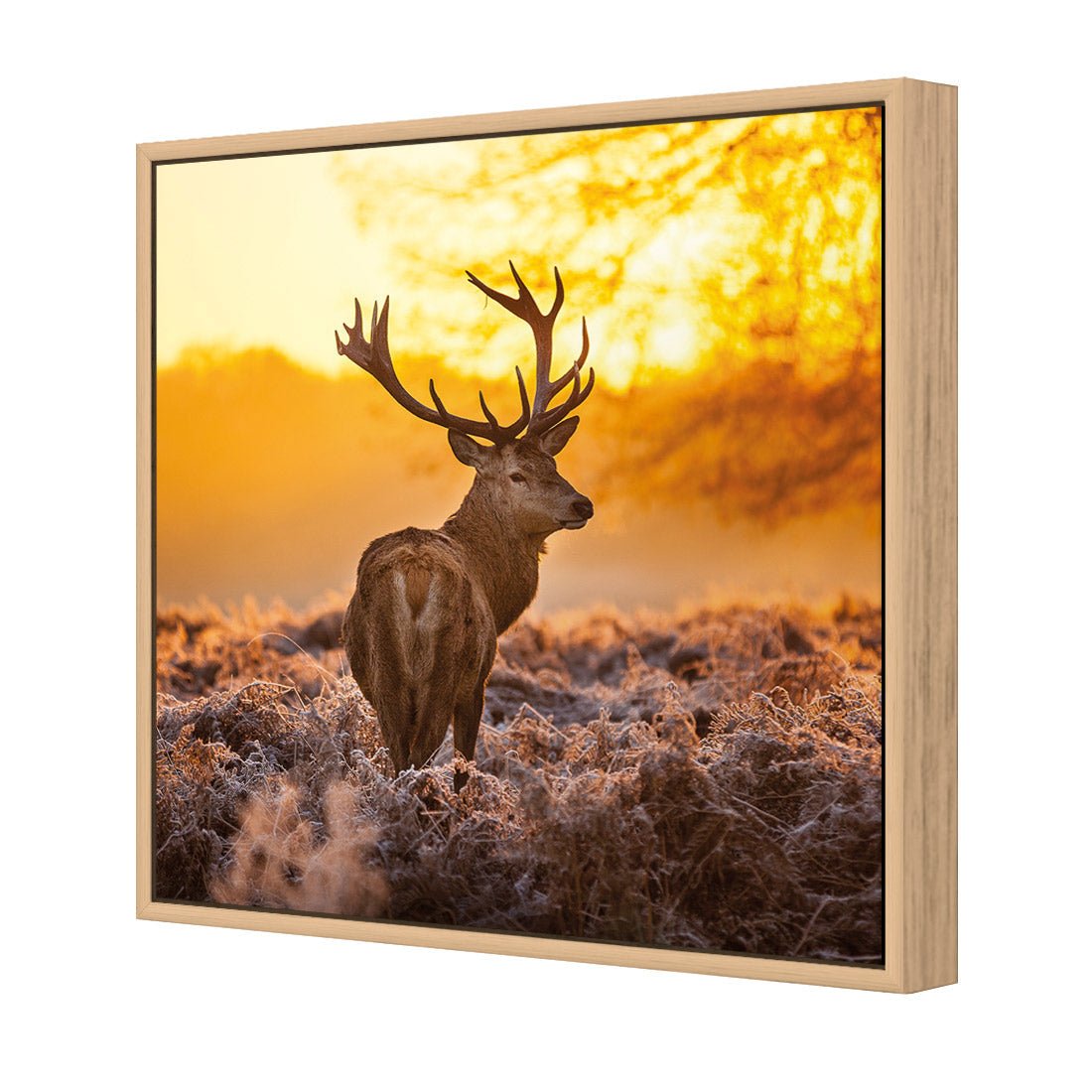 Sunset Deer Returns (square) - Wall Art Designs - 2224_AS_Q WAD_CP - MPY - 260 - M - S - S_37x37_NONE