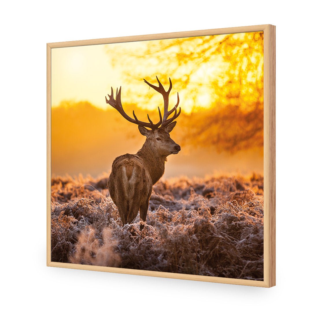 Sunset Deer Returns (square) - Wall Art Designs - 2224_AS_Q WAD_CP - MPY - 260 - M - S - S_37x37_NONE